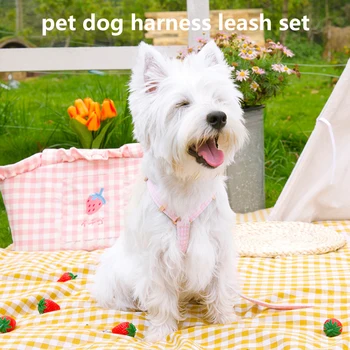 Animale de companie Câine Ham si Lesa Set Reglabil Fructe Drăguț Guler de Călătorie în aer liber Curea de Piept Câine Coarda Mici și Mijlocii Pisică Câine Animal de casă Supplies