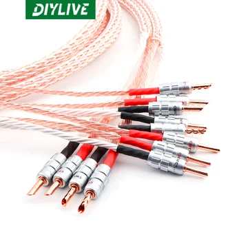 DIYLIVE Hi-Fi 12TC singur cristal cupru cablu difuzor difuzor Principal cablu Biliare amplificator de putere cablu audio