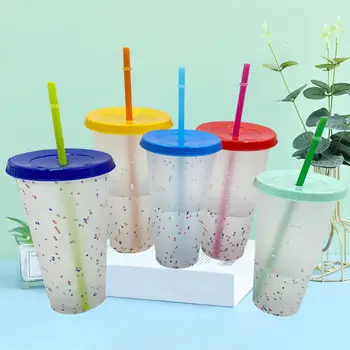 5Pcs Reutilizabile de Sticlă de Apă la Temperatura de Schimbare de Culoare Confetti Cupa Cu Capac Și Paie de Plastic Rece Cupa Sport Colorate Apa Rece