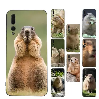 Amuzant Capybara Cazul în care Telefonul pentru Huawei Honor 10 m 8X C 5A 20 9 10 30 lite pro Voew 10 20 V30