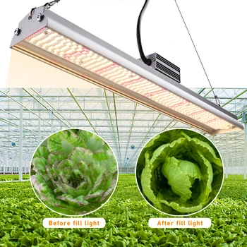 260W de Înaltă Eficiență Spectru Complet Alb Cald Led-uri Cresc Light Bar Interior Cort de Gradina Sere Agricultura Verticală Fito Lampa