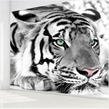 Tigru alb și negru animal fotografie 3D tapet, picturi murale pentru camera de zi canapea dormitor, TV fondul de intrare Dimensiune Particularizată