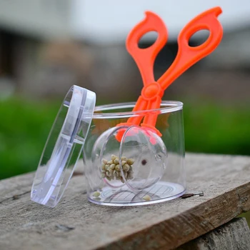 Plastic Explorarea Naturii Jucărie Kit pentru Copii Planta de Insecte Instrument de Studiu - Foarfeca Plastic Clemă & Pensete