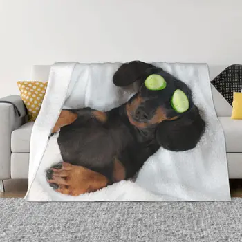 Cainele Teckel Tricotate Pătură de Lână Cadou pentru Animale Câini Iubitor de Ușor Arunca Pături pentru Masina Canapea, Canapea Dormitor Quilt